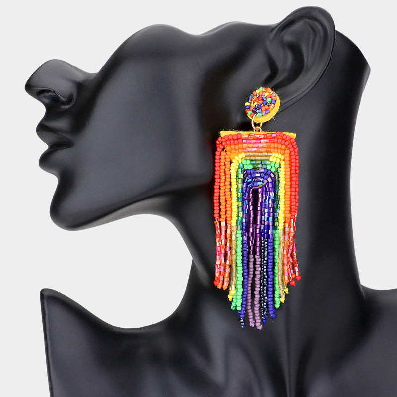 Rainbow Beaded Fringe Earrings