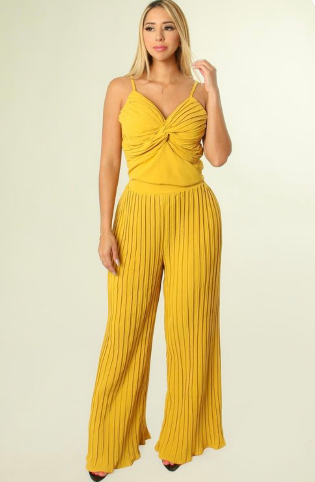 Pleated Two Piece Pants Set
