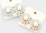 Flower Stud Earrings( Clip On Set)
