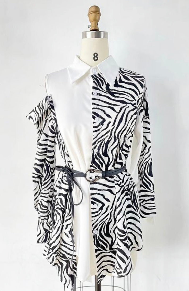 Safari Shirt Dress