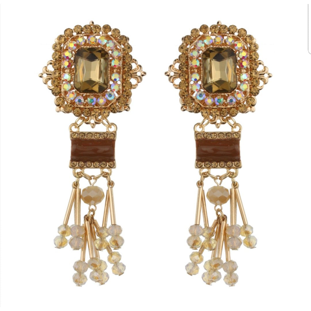 " Beaded Beauty" Statement Earrings