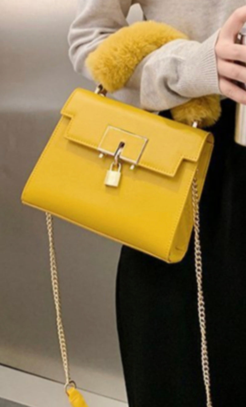 Locked in Fur Handbag