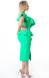Elegance Ruffle Dress