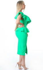 Elegance Ruffle Dress