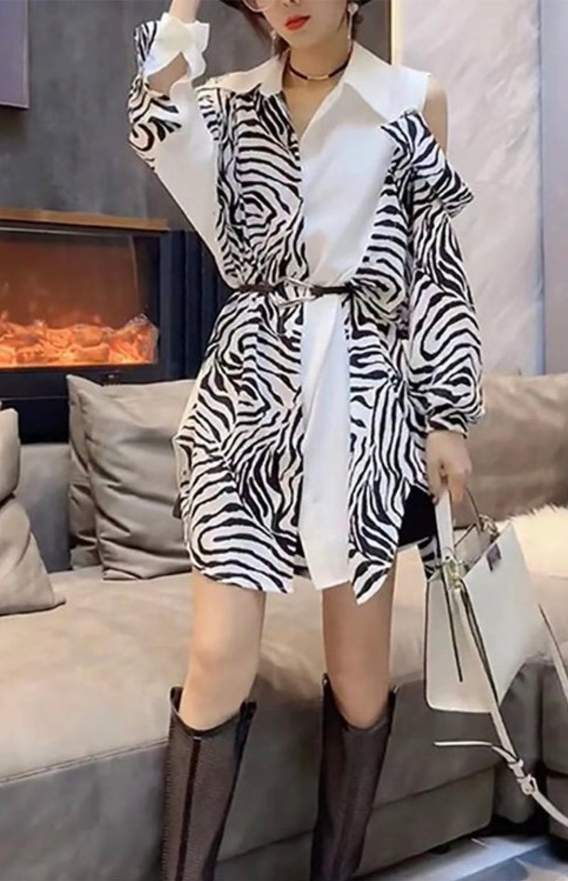 Safari Shirt Dress