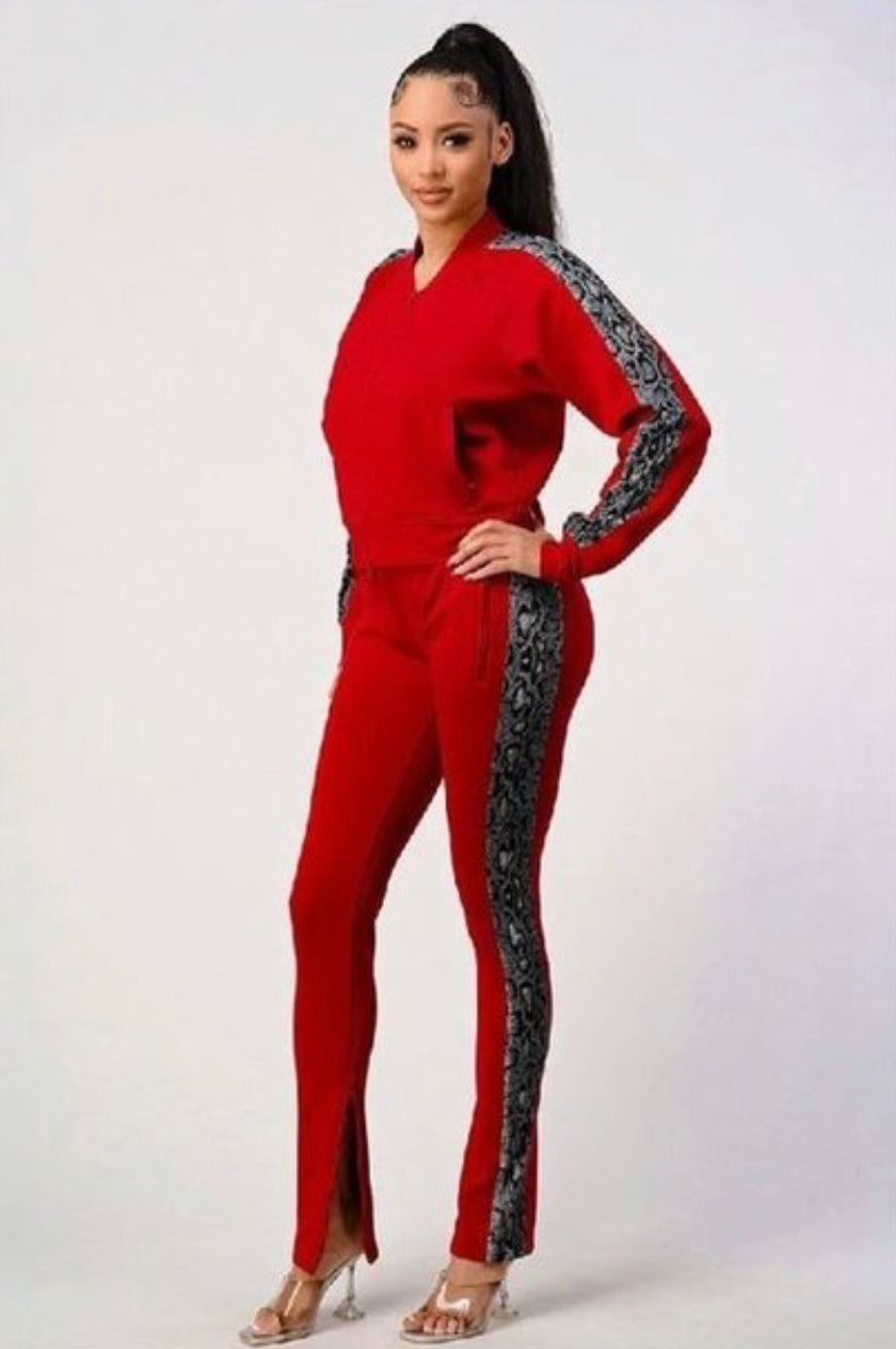 Slither 2Pc Track Suit