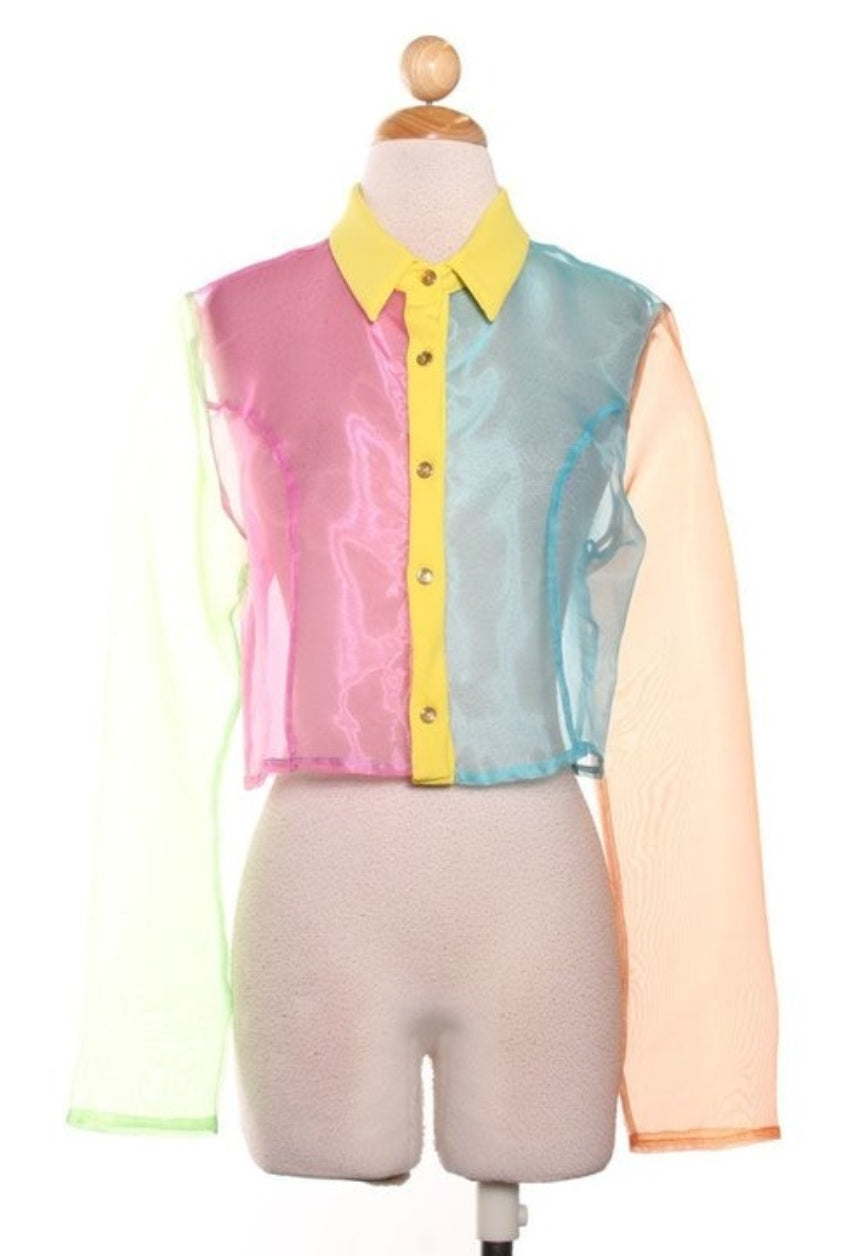 Color Block Crop Top