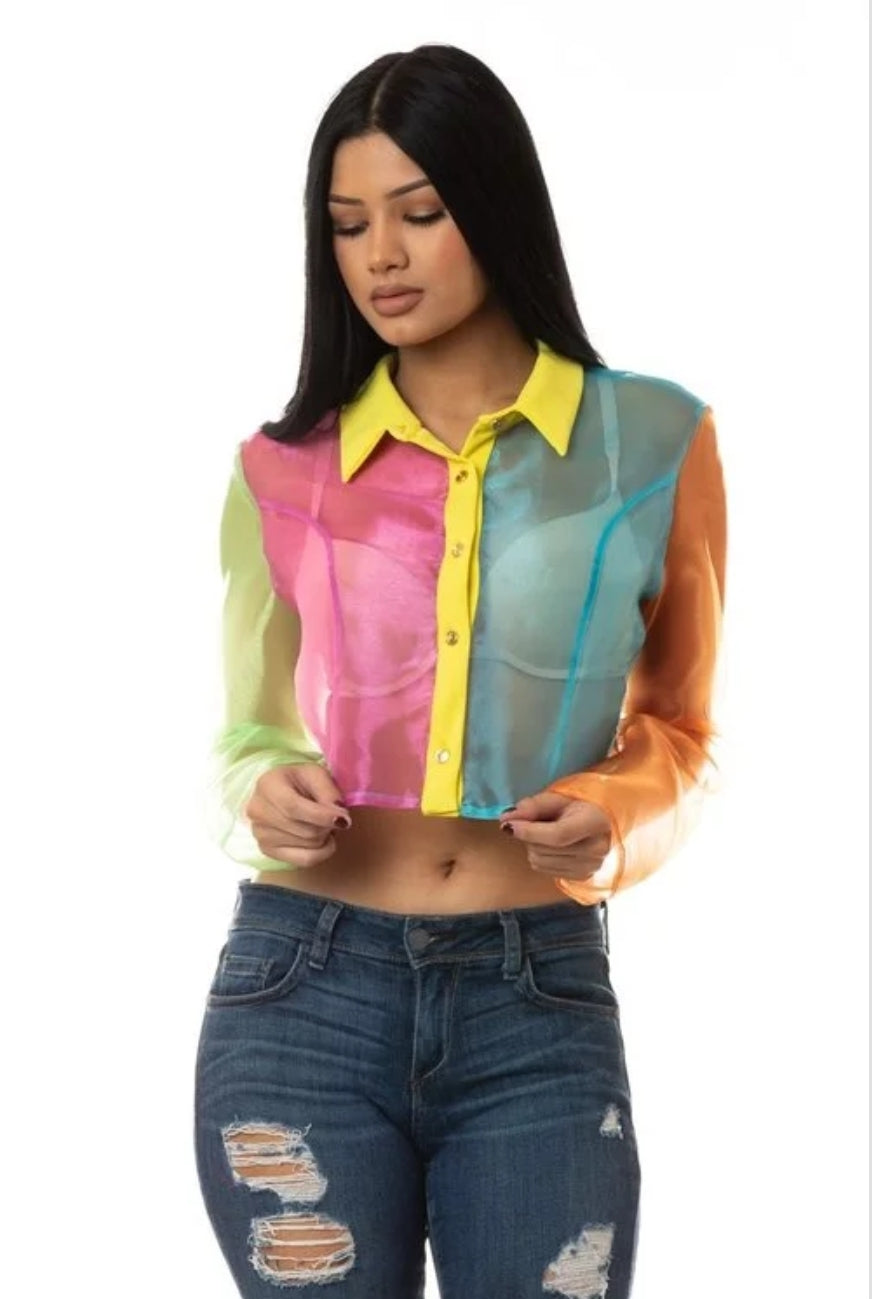 Color Block Crop Top