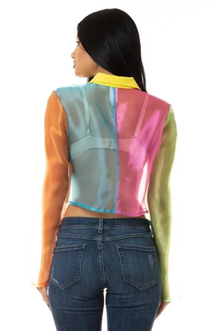 Color Block Crop Top
