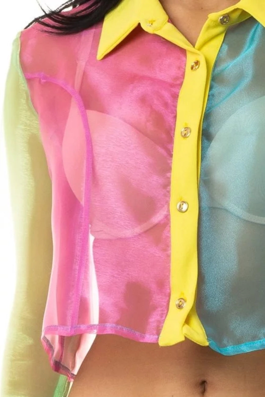 Color Block Crop Top