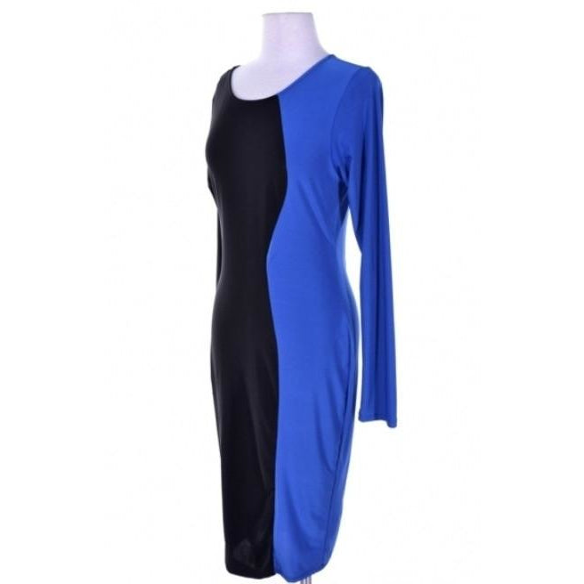 Color Block Bodycon Dress (Plus Size)