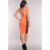 Orange Delight Mesh Bodycon Dress